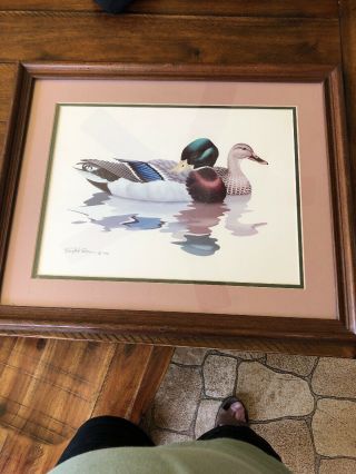 RICHARD SLOAN DUCK Print Signed RICHARD SLOAN 1981 Wood Frame | #25493229