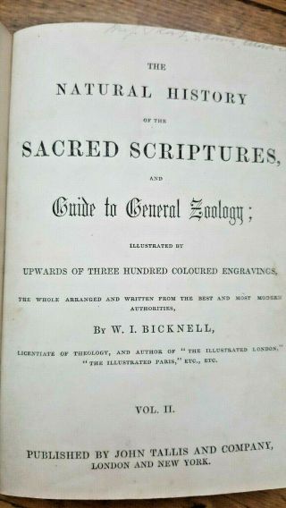 The Natural History Of The Sacred Scriptures And Guide To General Zoology Vol 2.