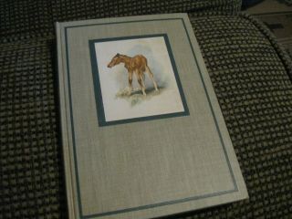 The Red Pony By John Steinbeck 1945 First Illustrated Edition