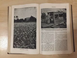 ABC and XYZ of Bee Culture 1935 Beekeeping Encyclopedia A.  I.  Root. 7