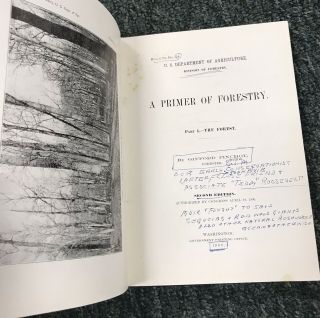1900 Primer of Forestry Part 1 Gifford Pinchot Illustrated Dept of Agriculture 4