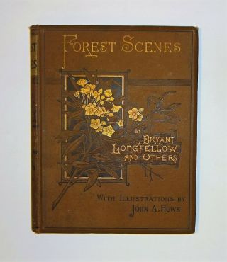 1885 Forest Scenes,  Illust Nature Poems By Longfellow Bryant Etc,  Adirondacks Vg