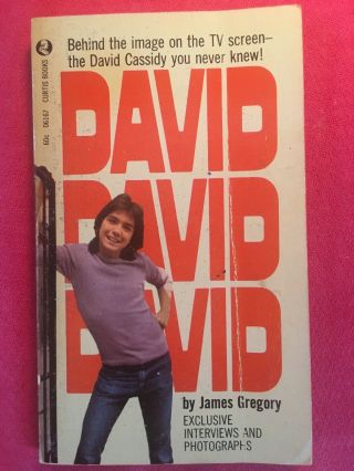 Vintage 1970s David Cassidy By James Gregory Partridge Family
