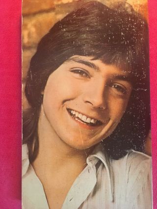 Vintage 1970s David Cassidy By James Gregory Partridge Family 2