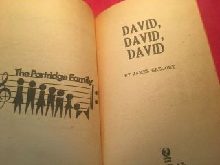 Vintage 1970s David Cassidy By James Gregory Partridge Family 3