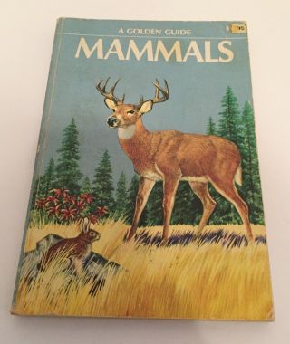 Mammals A Golden Nature Guide Full Color 1955
