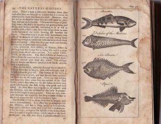 The Natural History Of Fishes & Serpents With Their Medicinal Uses.  Vol.  Iii 1863