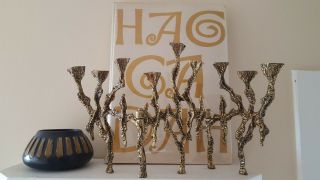 The Haggadah For Passover By Ben Shahn 1965 W/ Menorah/lapid Pot
