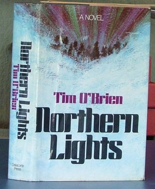 Northern Lights By Tim O 