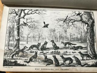 The Life Of A Fox.  Written By Himself.  Illustrations By Thomas Smith.  1852.