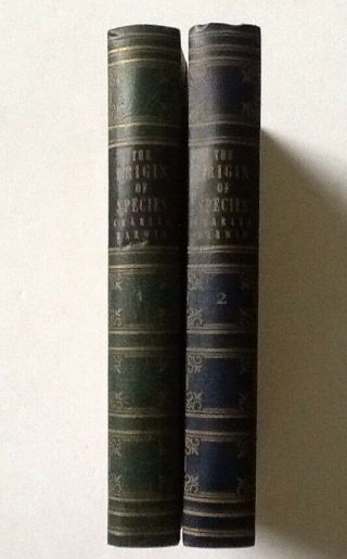 2 Vols The Origin Of Species By Charles Darwin Art Type Edition