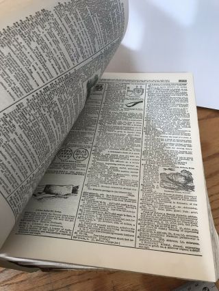 VINTAGE Webster ' s Dictionary Unabridged 1956 20th Century HUGE 6