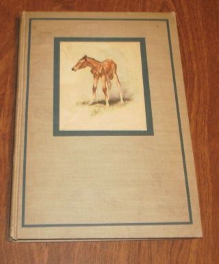 The Red Pony By John Steinbeck Illustrated Edition 1945