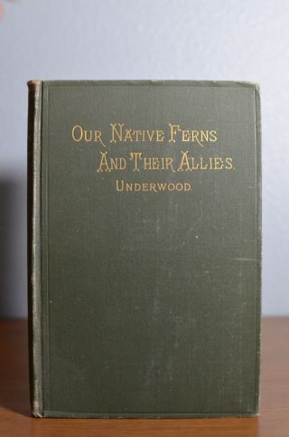 Our Ferns And Their Native Allies,  Underwood 1893