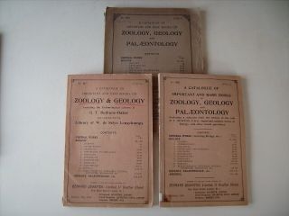 Lot2.  6catalogues Of Natural History Books (incl.  Zoology,  Geology A.  O) Quaritch