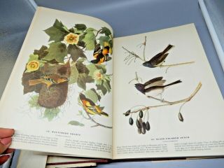 John J.  Audobon 1944 Birds Of America Hardcover With Dj