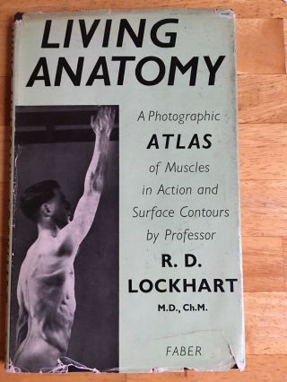 Living Anatomy 1950 A Photographic Atlas Of Muscles In Action Gay Interest Nudes