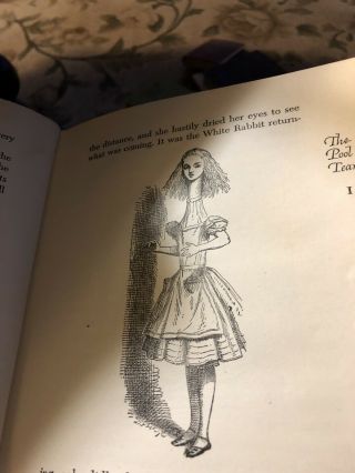 Alice In Wonderland And Through The Looking Glass - Illustrated Junior Library 4