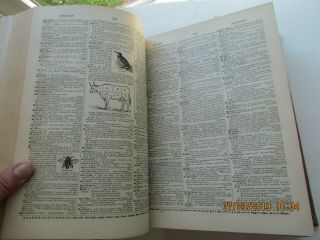 Dictionary of the English Language by Noah Webster 1875 rebound 1911 7