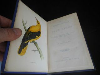 The Natural History Of Cage Birds By J M Bechstein 1881 Coloured Plates