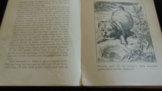 Alice ' s Adventures in Wonderland Book by Lewis Carroll Circa 1897 3