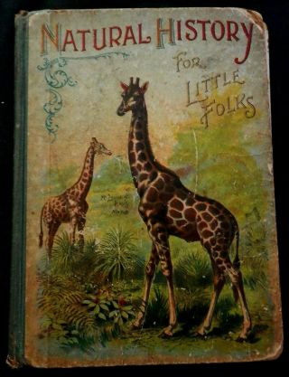 Natural History For Little Folks Book Mclaughlin Bros Full Color Art