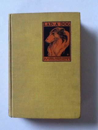 Lad: A Dog By Albert Payson Terhune.  1926 Illustrated Edition