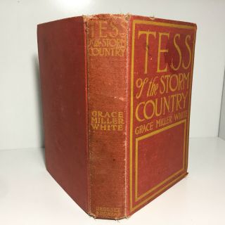 Vintage Tess Of The Storm Country By Grace Miller White,  1909,  Hardcover