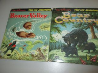 Vintage Disney Tell - A - Tale True - Life Adventures Beaver Valley Bear Country - Lud