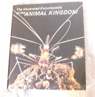The Illustrated Encyclopedia Of The Animal Kingdom - Volume 13 - Millipeds/arthropod
