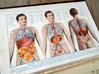 Vintage Illustrated Family Doctor Book Anatomy Medicine Medical Hospital Nurse
