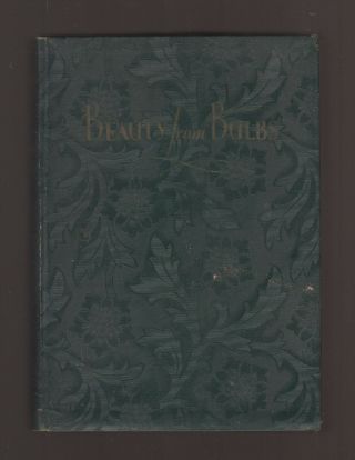 Vg 1929 Hardcover Beauty From Bulbs Tulips Daffodils John Scheepers Bulb Guide