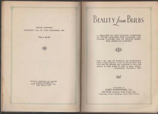 VG 1929 Hardcover Beauty from Bulbs Tulips Daffodils John Scheepers Bulb Guide 2