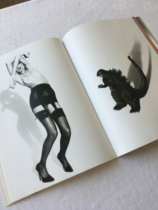 Ellen von Unwerth “Wicked” Adriana Lima Photo Art Book Nudes Black White Fashion 4