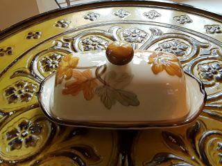 Vintage Franciscan October Covered Butter Dish With Finial