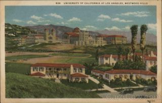 University Of California At Los Angeles,  Westwood Hills Linen Postcard Vintage
