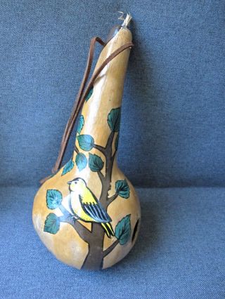 Vintage Folk Art Hand Painted Real Gourd Bird Feeder Leather Strap For Hanging