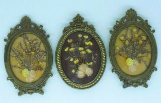 Vintage Made In Italy Miniature Framed Dried Flowers Set 3 Wall Hanging Decor