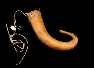 Small Vintage Koteka Penis Gourd Papua Guinea Phallocrypt Tribal Curio
