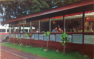 Kokee Lodge Island Of Kauai,  Hawaii Restaurant Ca 1950s Vintage Postcard