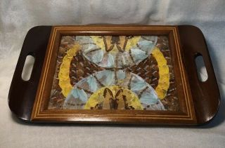 Vintage Butterfly Wing Art Inlaid Wood Tray Brazil