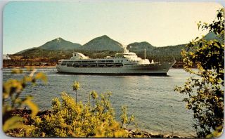 Princess Italia,  Luxury Cruise Ship Alaska Princess Cruises Vintage Postcard L04