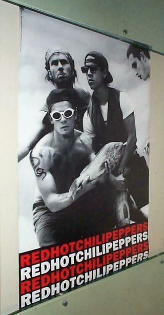 Red Hot Chili Peppers Vintage Fish Group Poster