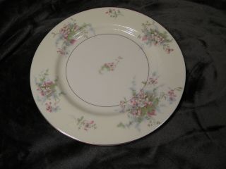 Vintage Theodore Haviland - Apple Blossom 10 1/8 " Dinner Plate York