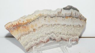 Vintage Crazy Lace agate Polished Slab From Mexico,  Colors Lace 91g 2