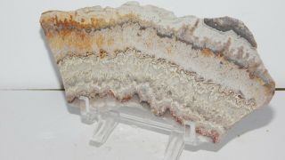 Vintage Crazy Lace agate Polished Slab From Mexico,  Colors Lace 91g 4