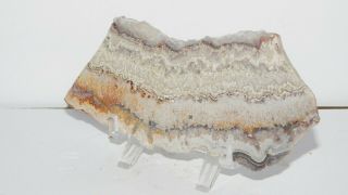Vintage Crazy Lace agate Polished Slab From Mexico,  Colors Lace 91g 7