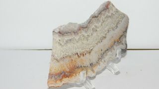 Vintage Crazy Lace agate Polished Slab From Mexico,  Colors Lace 91g 8