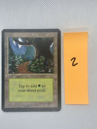 Mtg Alpha Forest B Land,  Legacy,  Vintage,  Magic The Gathering - Real Pictures -