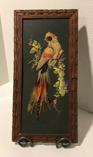 Vintage Mexican Feather Folk Art Bird Picture,  Carved Frame 7.  5 X 17.  5 Inches